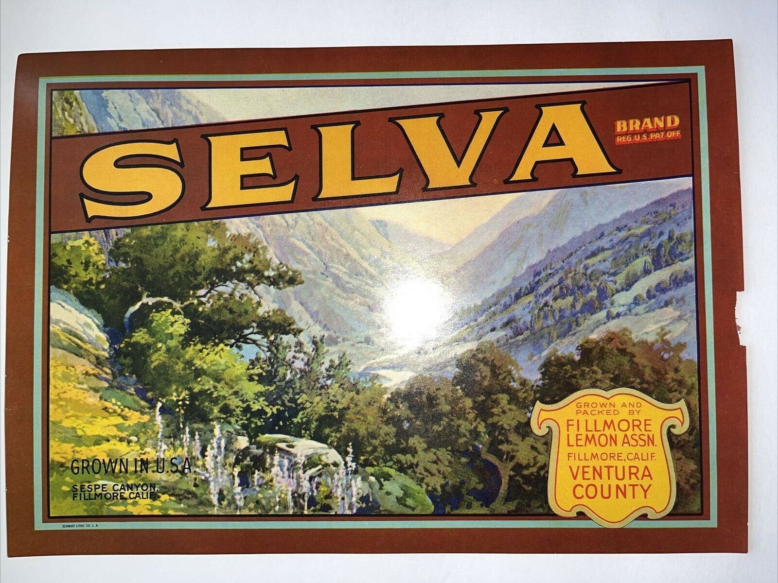 Selva Brand Reg Usa Fillmore Lemon Crate Label Original Unused Label