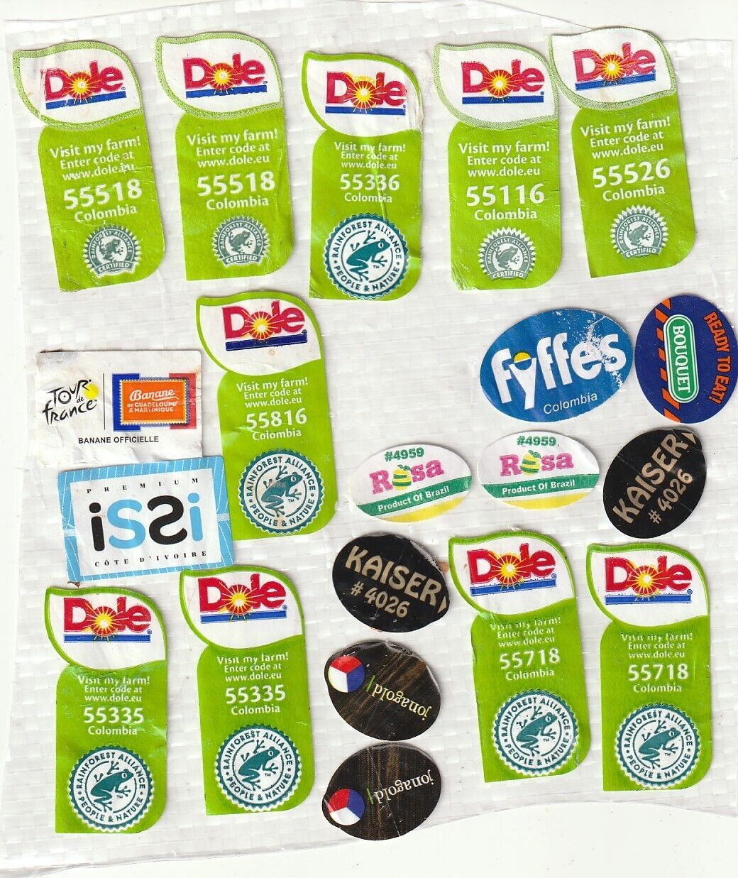 Lot  Fruits Labels Stickers  #8