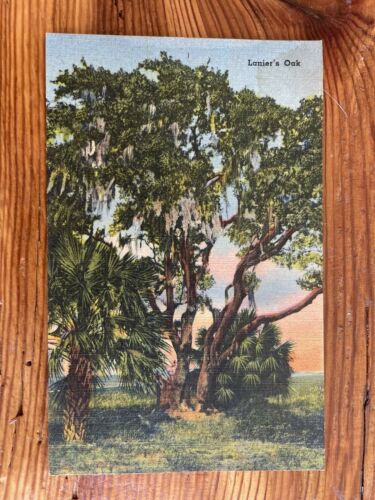 Lanier’s Oak, Macon, Ga - 1952 Vintage Postcard