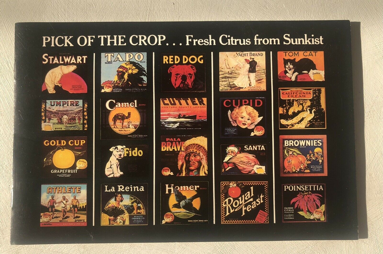 Vintage 1979 Sunkist Oranges Promo Booklet Fresh Citrus Fruit Market Groves Ca